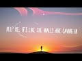 Animals That Have Left Me Video preview