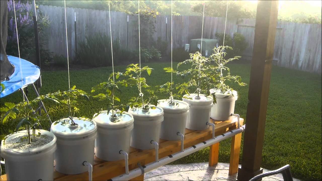 home made hydroponics for greens