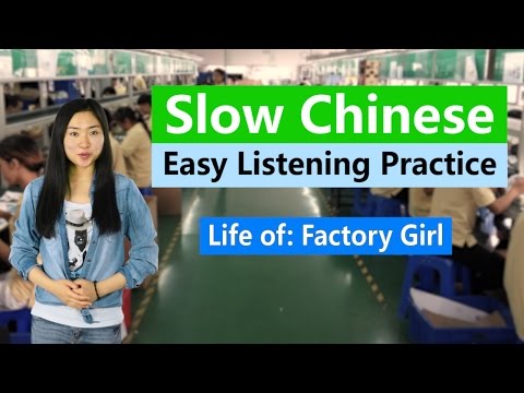 The Factory Video