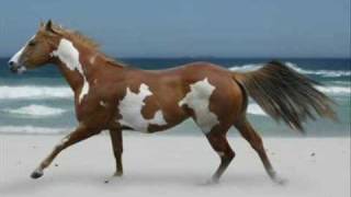 Watch Paul Brandt Virtual Life video