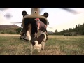 Search And Rescue Dogs Boarding A Ch 47 Chinook Helicopter Search And Rescue Dogs Boarding A Ch 47 Chinook Helicopter