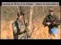 Polowanie na Dziki za pomocą snajperki Gamo Hunter Extreme .22.