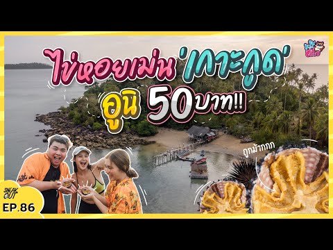 อูนิไทย ไข่หอยเม่น 'เกาะกูด' 50 บาท กินสด หวานเว่อร์! | หมีเที่ยว EP. 86
