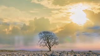 ALONE WITH JEHOVAH | Relaxing Meditation Music | Christian Healing Worship