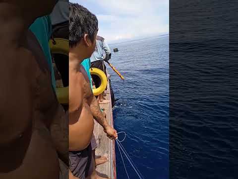Pancing tak kuat di buat tuna bonta. dan saya bersama rekan2 sangat puas dgn tarikannya#matapancing