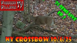 Ny Crossbow Hunting 10-6-2025 Day 2 Freezer Fillers Tv