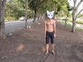 Instinct Conceptual Movie