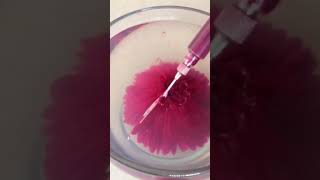 Arte En Gelatina Más De 1 Millón 300 Mil Vistas Clavel Con Gubia Aguja Cuchillo Delgado Estilo