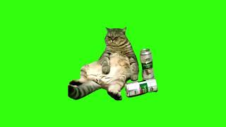 Cat Relaxing Meme Green Screen