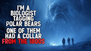 Im A Wildlife Biologist Tagging Polar Bears. One Of Them Has A Collar From The 1800S Creepypasta