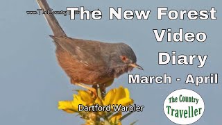 The New Forest Video Diary March April 2022 #thenewforest #onewithnature