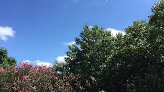 Texas Air Raid Sirens