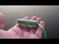 Top Water Bass Fishing with Frogs. Spro Poppin Frog.