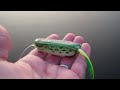 Top Water Bass Fishing with Frogs. Spro Poppin Frog.