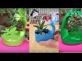 Tái chế các chai lọ bằng nhựa | Mẹo vặt hay dành cho các chị em