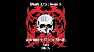 Watch Black Label Society All For You video