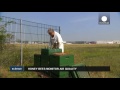 fabricante de aviones