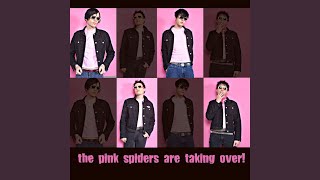 Watch Pink Spiders Adios Prizefighter video