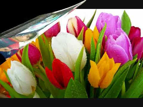Kab Tak Yaad Karo Main Usko Kab Tak Love Album Song