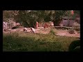Hamri Bhi Aavegi Barat Bhojpuri Full Movie