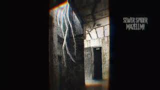 Sewer Spider Sounds