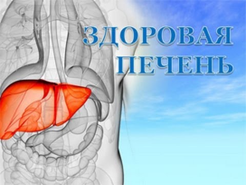 Как сделать здоровую печень