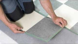 Watch Barnes Barnes Linoleum video