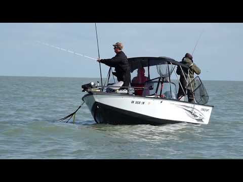 Show #1803- Lake Erie's Blade Runner Fishing 411 TV