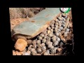 image Tussock Pembantaian Manusia Di Syria