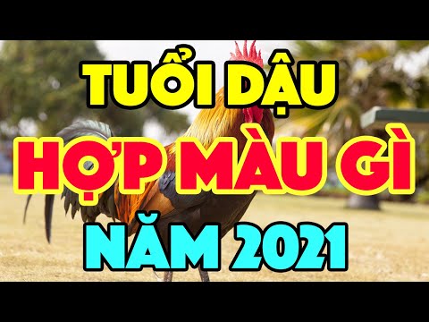 Tuổi Dậu Hợp Màu Gì Năm 2021 Để Gặp Nhiều May Mắn