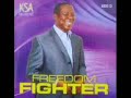 King Sunny Ade - Freedom Fighter (Audio)