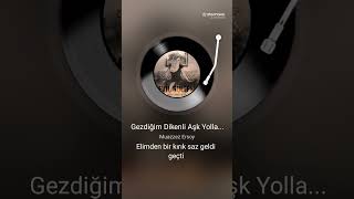 Mehmet Ali Ince Gezdigim Dikenli Aşk Yollarında