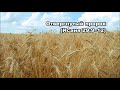 Тихое время с Живой Жизнью: Исаия 29:9–14 (29092017) Тихое время с Живой Жизнью: Исаия 29:9–14 (29092017)