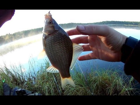 видео рыбалка на удочку с поплавком на озере видео рыбалка на удочку с поплавком на озере