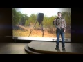 Bushnell Trophy Cam Commercial