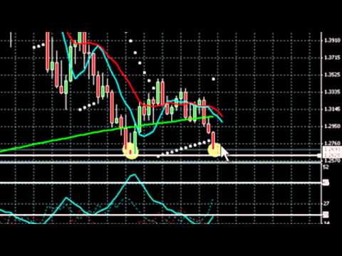 Professional forex training