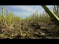 Intro To A New Summer Season - Harvest 2012 - New John Deere S690i