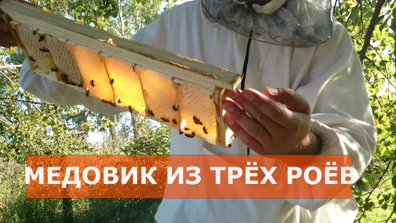 Как сделать семью медовик на главный взяток Как сделать семью медовик на главный взяток
