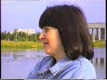 кавказские овчарки 