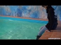 Naomi in pool with boots, jeans and pullover