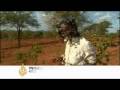 Kenyas hope that biofuel will reduce poverty 16 Feb 09 default Kenyas hope that biofuel will reduce poverty 16 Feb 09