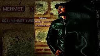 Bi̇li̇rmi̇si̇n Mehmet Yurduseven