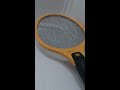 Electrocuting a spider with a racket