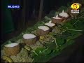 Kokkada