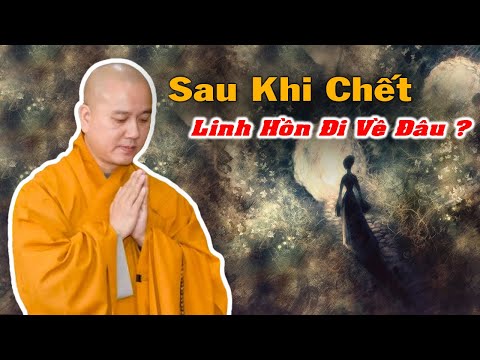 LINH HỒN Người Mất Sau Khi Chết Sẽ Đi Về Đâu ?... | Thầy Thích Pháp Hoà