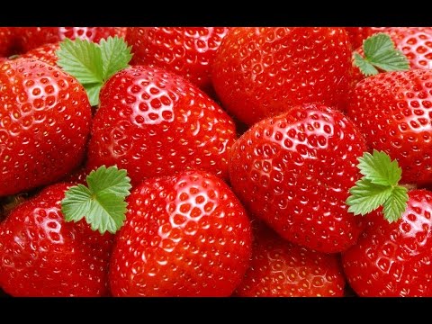 Какие удобрение для озимых Какие удобрение для озимых