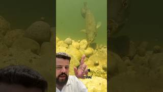 Isca Artificial Para Pescaria