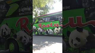 Bus Restu Panda Patas