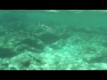 Formentera Underwater 2005