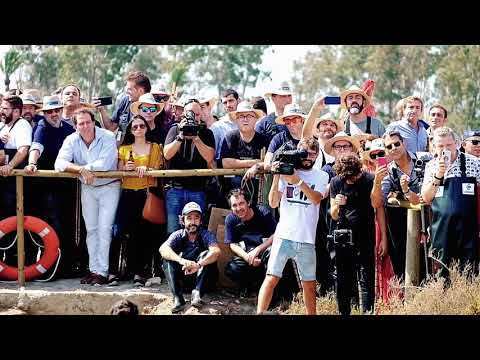 Despesque de 'Aponiente' en las salinas de Puerto Real
